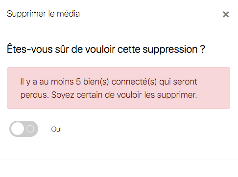 fr-delete-media_warning.webp